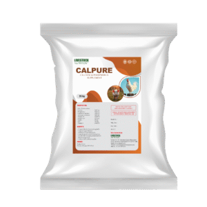 animal nutrition livestock products-06