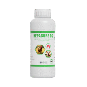 HEPACURE -DS