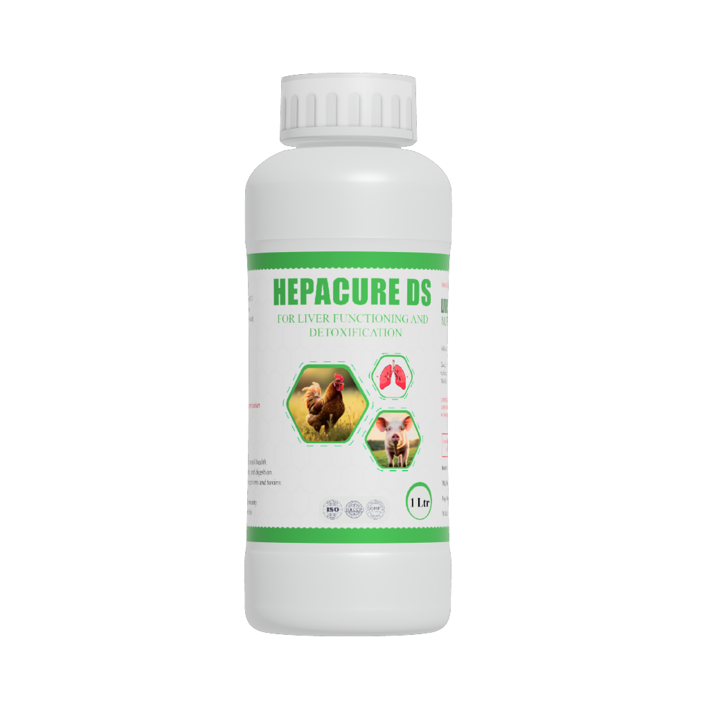 HEPACURE -DS