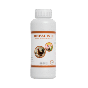 HEPALIV H