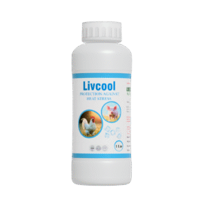 animal nutrition livestock products liquid-17